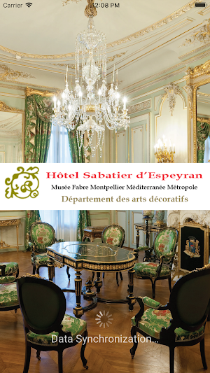 Hôtel Sabatier d’Espeyran Screenshot 0