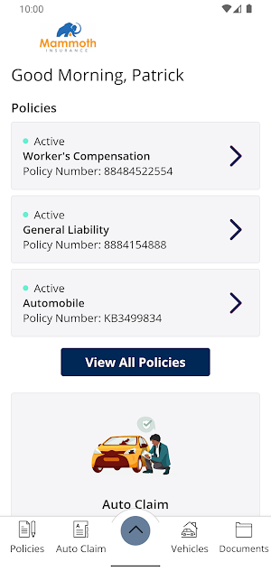 Mammoth Insurance Inc. Online Screenshot 1