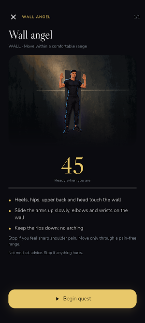 Taller: Posture & Presence Screenshot 1