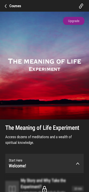 Meaning of Life Experiment Screenshot 2