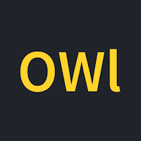 Social Owl : Digital Poster