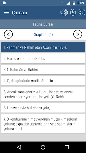 Turkish Quran Screenshot 1