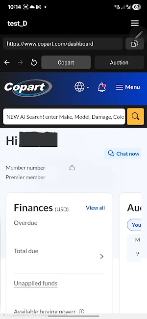 USAuction Screenshot 1