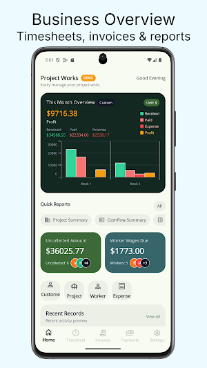 Project Works - Timesheets Screenshot 0