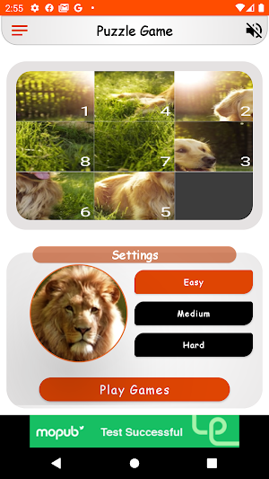 Sliding Puzzle — Premium Screenshot 3