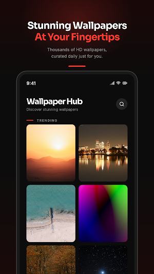 Wallpaper Hub Screenshot 0