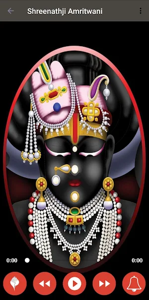 Shreenathji Amritwani Screenshot 1