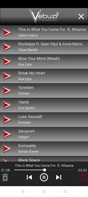 Vebuzi Player Screenshot 3