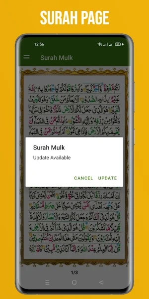 Surah Mulk Offline - Audio Screenshot 3