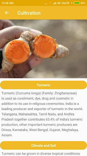 ICAR-IISR Turmeric Screenshot 3