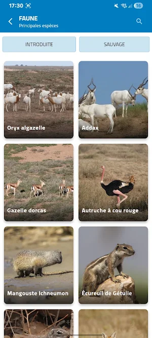 Parc National de Souss Massa Screenshot 2