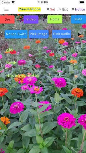 Miracle Notice Screenshot 2