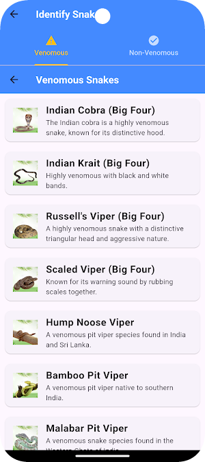 Snake Aid Screenshot 3