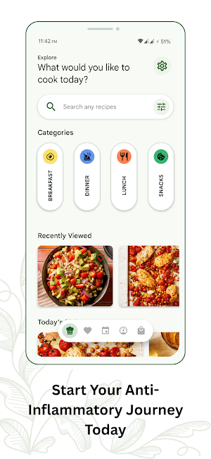 Anti Inflammatory Diet Recipes Screenshot 2