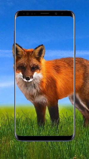 Fox Wallpapers Screenshot 1