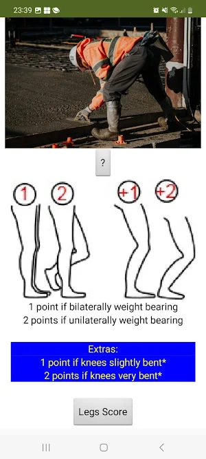 Rapid Entire Body Assessment Screenshot 2
