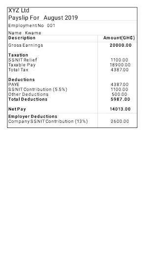 Ghana Payslip Calculator Screenshot 3