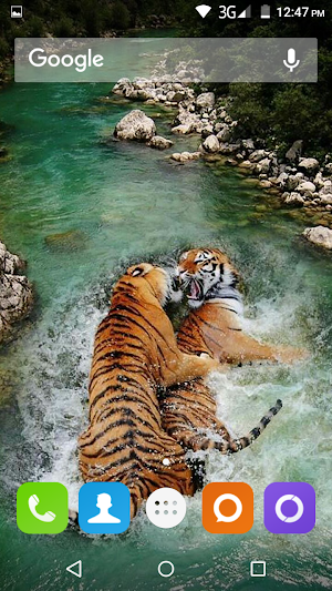 Wild Animal Hd Wallpaper Screenshot 1