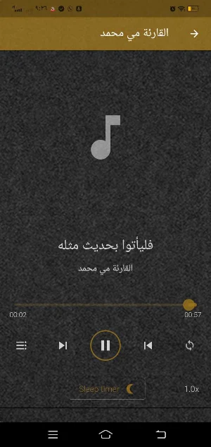 عبد الرحمن الحميداني بدون نت Screenshot 3