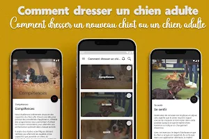 Comment dresser un chien adult Screenshot 0