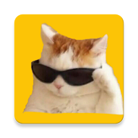 Sonidos para gatos que vengan