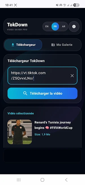 TokDown Screenshot 1