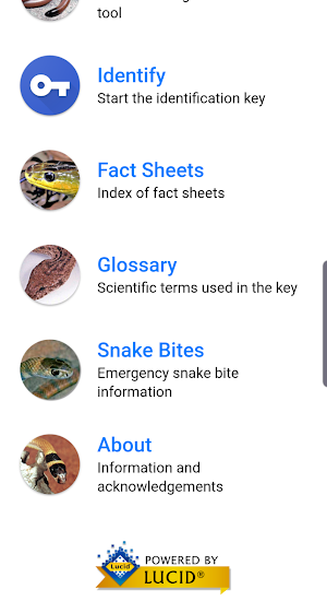 Australian Snake ID Screenshot 1