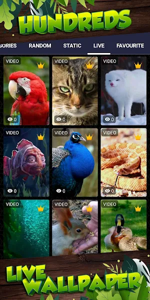 animal wallpaper Screenshot 2