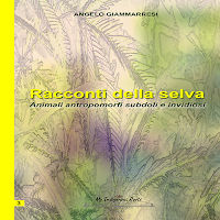 Racconti della selva vol.3