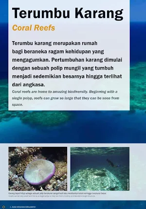 Terumbu Karang Perubahan Iklim Screenshot 2
