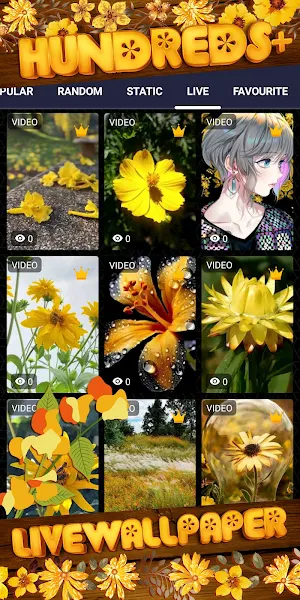yellow flower wallpaper Screenshot 2
