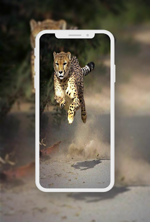 Wildlife Animals Wallpaper Screenshot 0