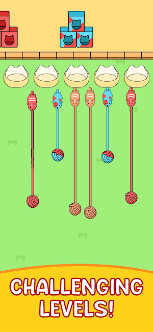 Kitten Jam Screenshot 3