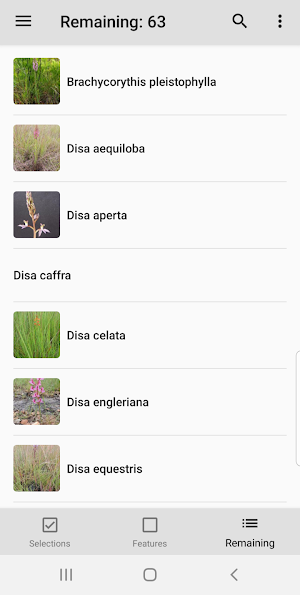 Chikanda Orchid Key Screenshot 3
