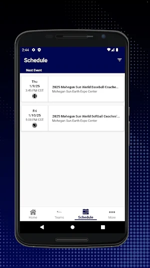 World Baseball and Softball CC Screenshot 1