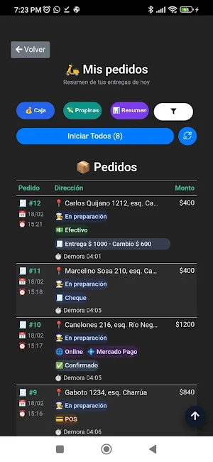 Delivery DS Screenshot 1