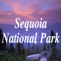 Sequoia National Park
