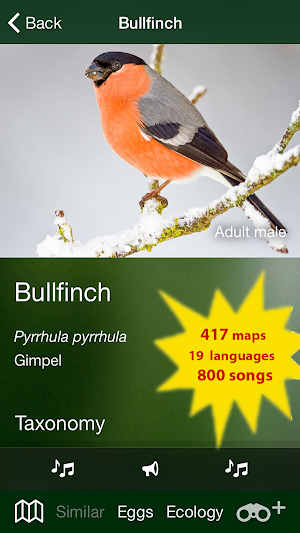 All Birds Switzerland Screenshot 3