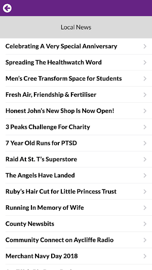 Newton News Screenshot 3