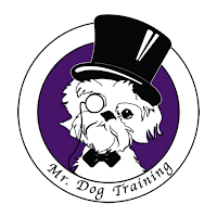 Mr. Dog Training