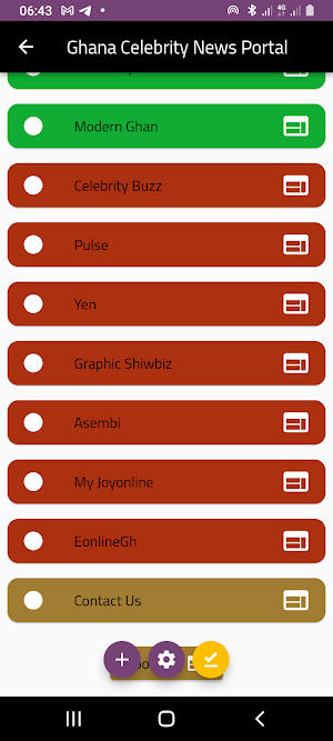 Ghana Celebrity News Portal Screenshot 3