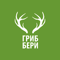 Гриббери ягоды, грибы, дикорос