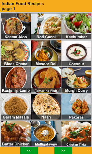 Indian Recipes Offline Screenshot 3