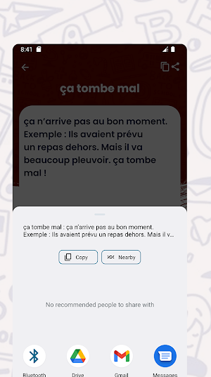 Dictionnaire des Expressions Screenshot 3