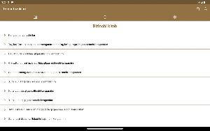 Temur tuzuklari Screenshot 3