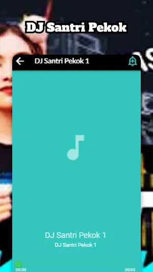 DJ Santri Pekok Screenshot 2