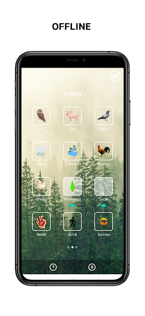 Forest Sound Screenshot 1