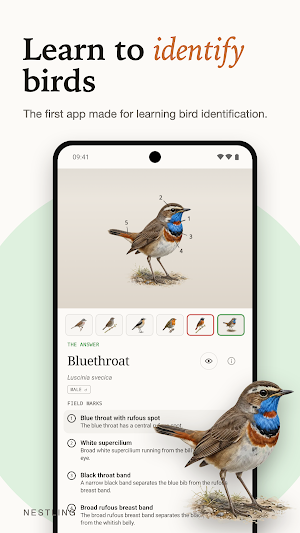 Nestling: Learn Birds Screenshot 0