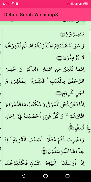 Surah Yasin mp3 Screenshot 0