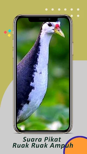 Suara Pikat Ruak Ruak Ampuh Screenshot 1
